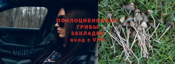 spice Абдулино