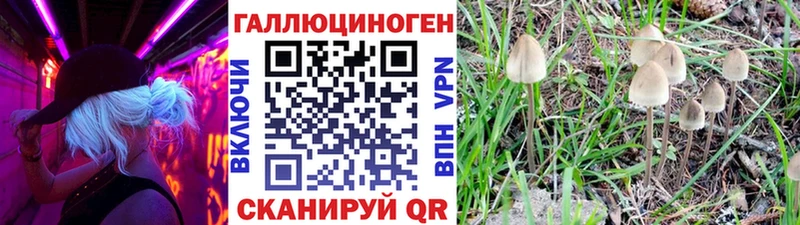 Галлюциногенные грибы ЛСД  OMG вход  Инза 